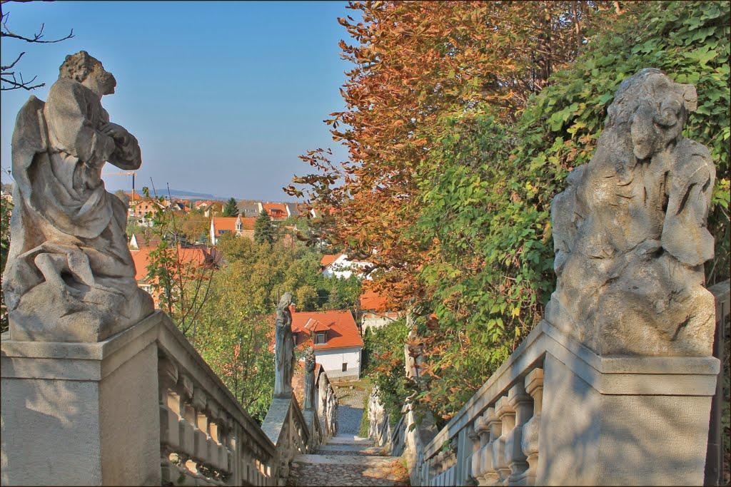 Karmelita Boutique Apartman Sopron Extérieur photo
